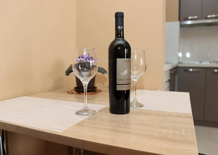 Luxury Apartments - With Balcony 12 And 12A